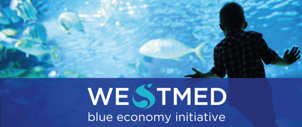 WestMed Global: WestMed Orthopedic Products | Carmel ...