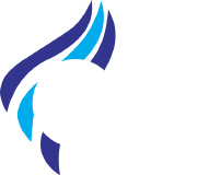 Bicimag