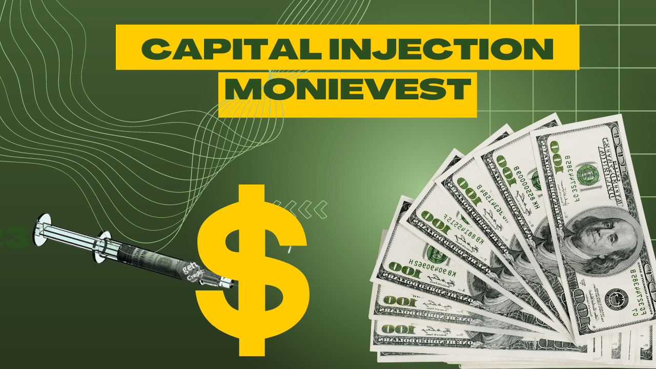 The Power of Capital Injection: Fueling Growth and Innovation with MonieVest