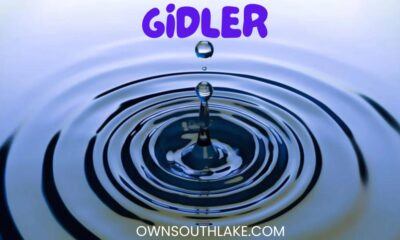 A Detailed Guide On gidler - Everything You Should Know