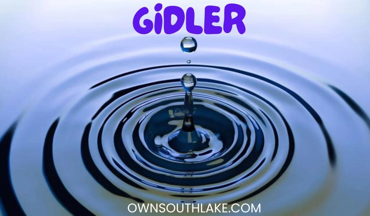 A Detailed Guide On gidler - Everything You Should Know
