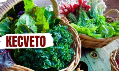 Unlocking the Culinary Treasure Trove of Kecveto