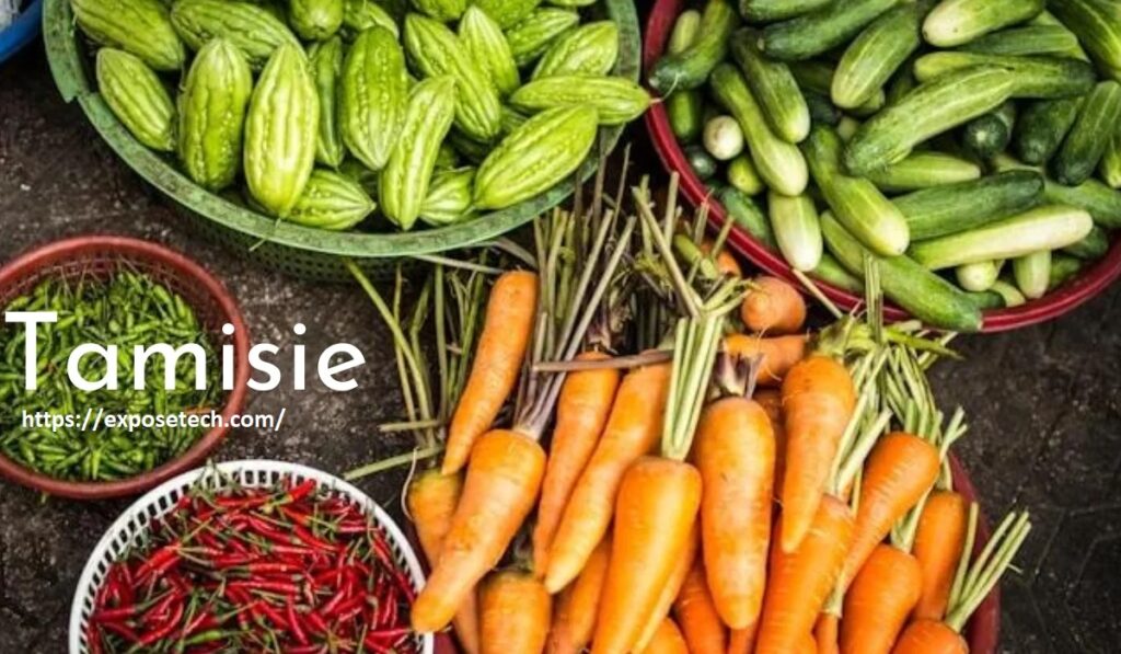 A Detailed Guide On Tamisie - Everything You Should Know