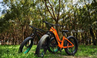 California Trails & Thrills: Your Guide to Fat Tire E-bike Adventures