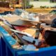 Elements to Consider When Choosing a Junk Removal Service
