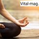 The //Vital-Mag.net Blog: Your Go-To Resource for Comprehensive Health and Wellness Information