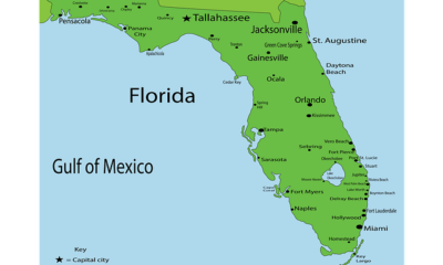 Should You Consider Florida Car Shipping