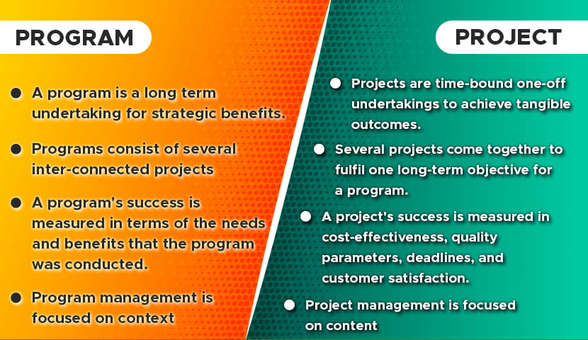 The Basics of Effective Program and Project Management