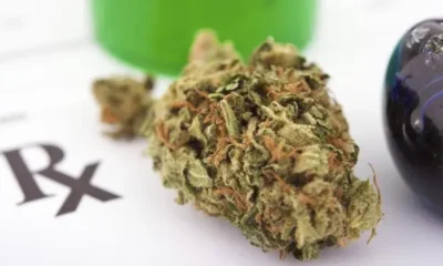 What Sets Apart Medical Marijuana from Street Marijuana in Louisiana?