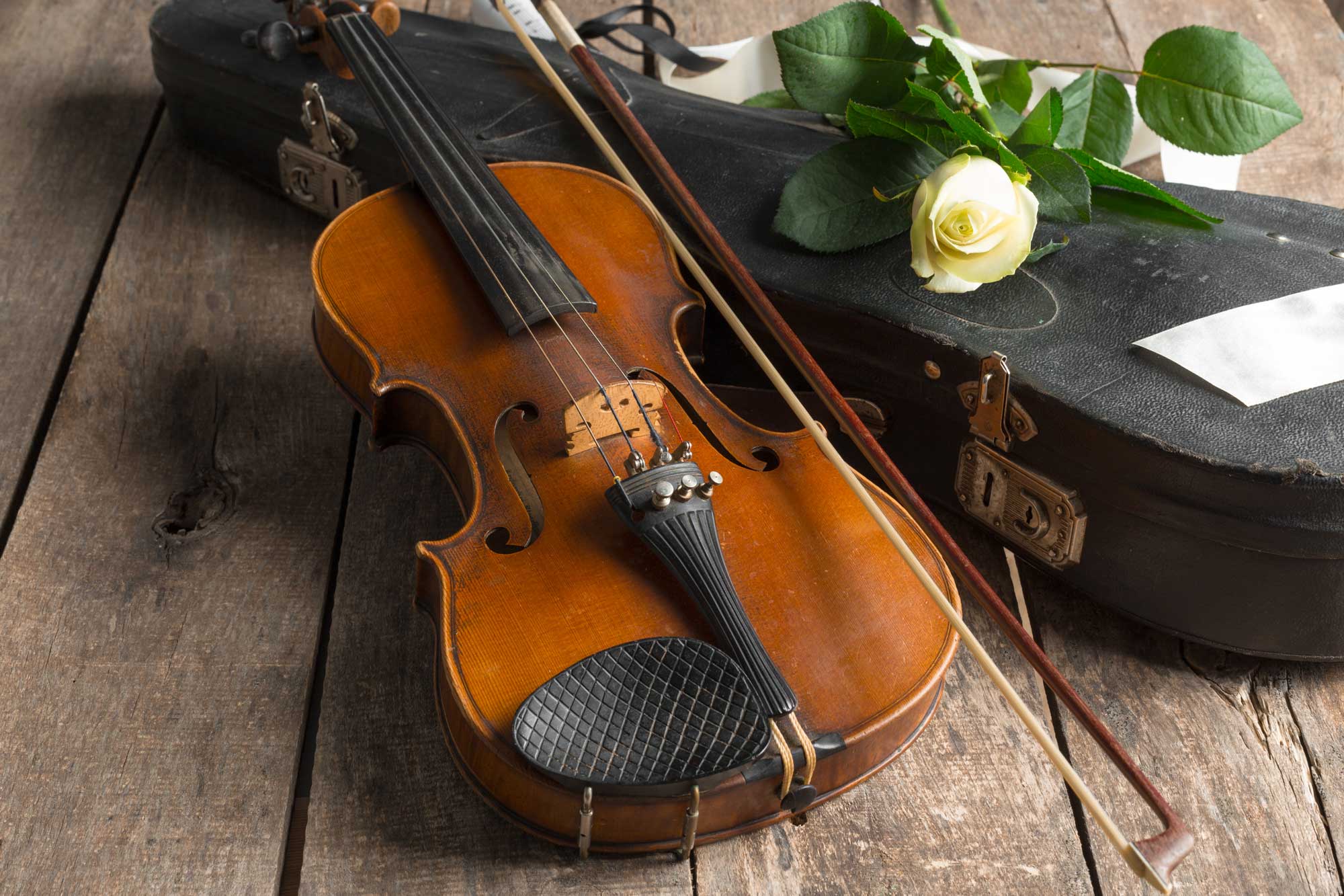 The Violin: A Comprehensive Guide to the World's Most Elegant Instrument